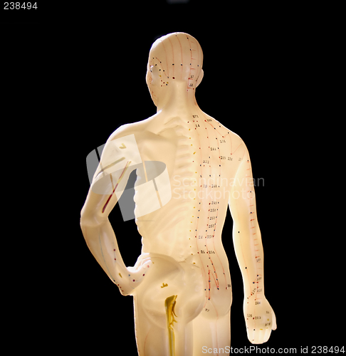 Image of figure showing acupuncture points