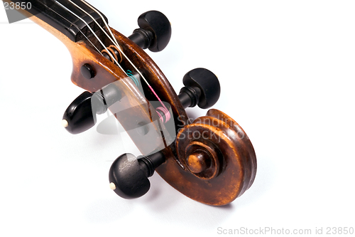 Image of Violin scroll