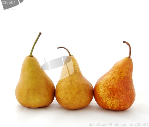 Image of three bosc pears