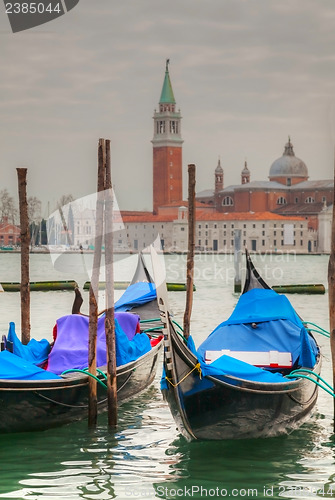 Image of Gondolas floating in the Grand Canal