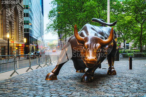 Image of Charging Bull (Bowling Green Bull) sculpture in New York