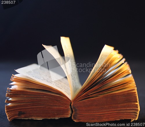 Image of old pocket dictionary