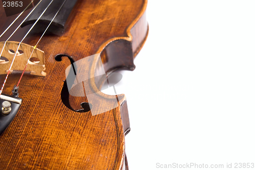 Image of Violin ribs