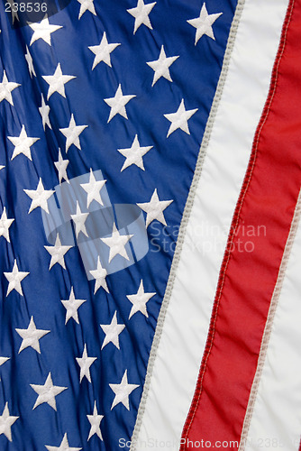 Image of Stars and Stripes