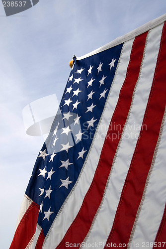 Image of Stars and Stripes