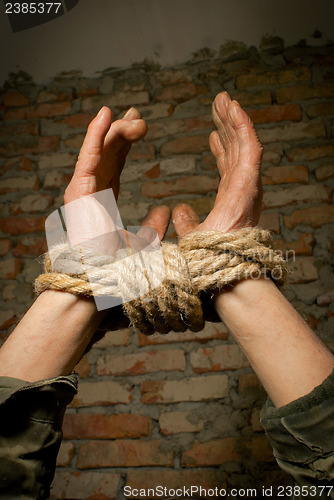 Image of Hands of man tied up with rope