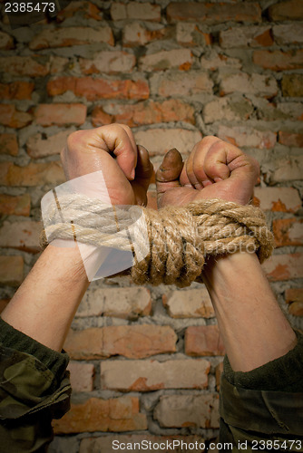 Image of Hands tied up with rope