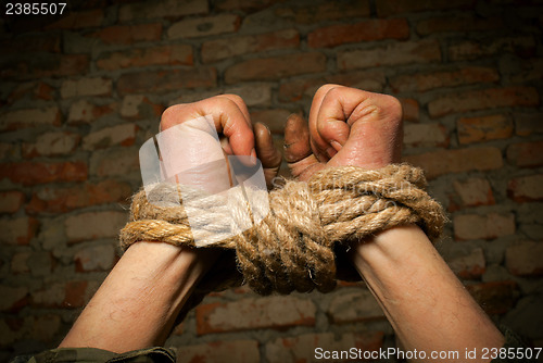 Image of Hands of man tied up with rope