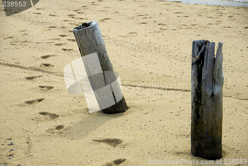 Image of Posts on a beach