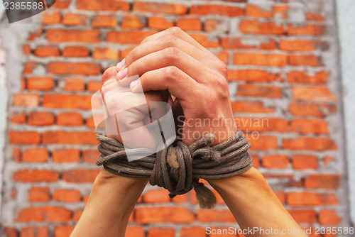 Image of Hands tied up with rope