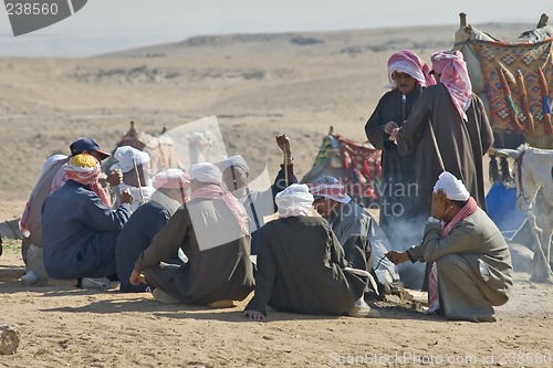 Image of Camel ride