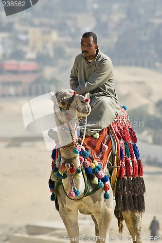 Image of Camel ride