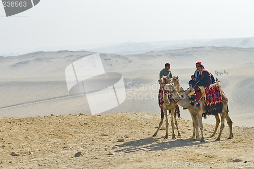 Image of Camel ride