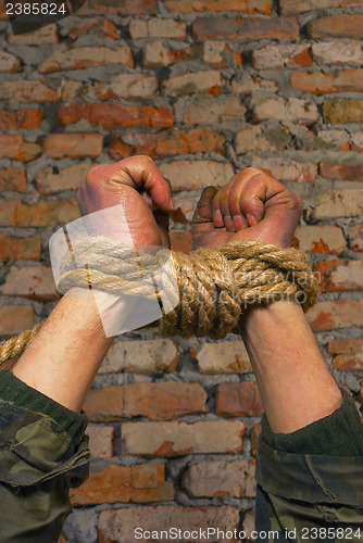 Image of Hands tied up with rope