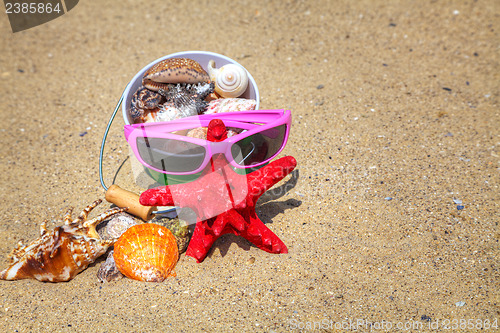 Image of Starfish and shells on the sand