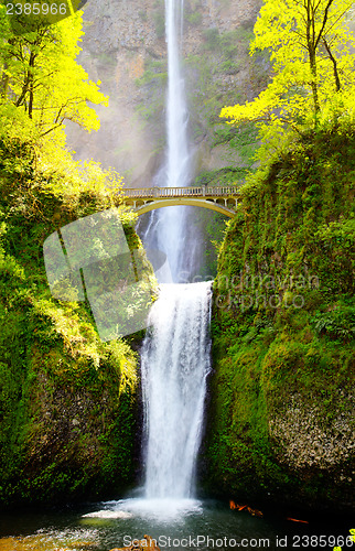 Image of Multnomah falls and bridge in the morning sun light