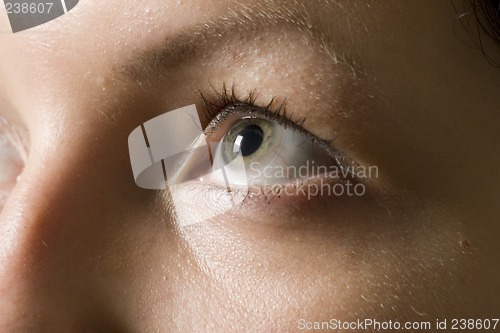 Image of  eye