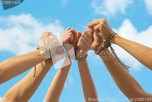 Image of Three pairs of human hands tied up together