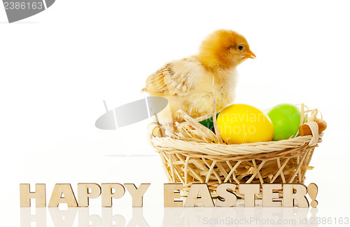 Image of Basket with the Easter eggs and small chicken