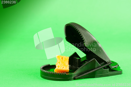 Image of Black plastic mousetrap with bait