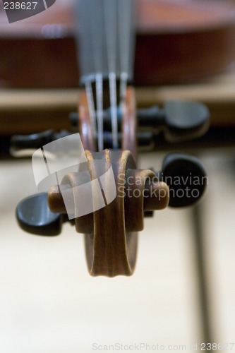 Image of Violin