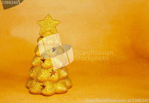 Image of Golden evergreen tree