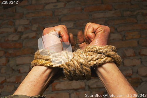 Image of Hands tied up with rope