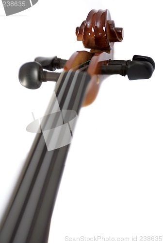 Image of Violin