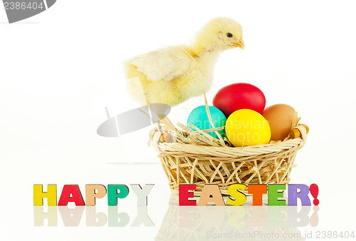 Image of Basket with the Easter eggs and small chicken