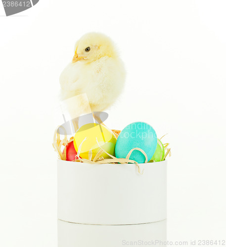Image of Small chicken staying on a box with colorful Easter eggs