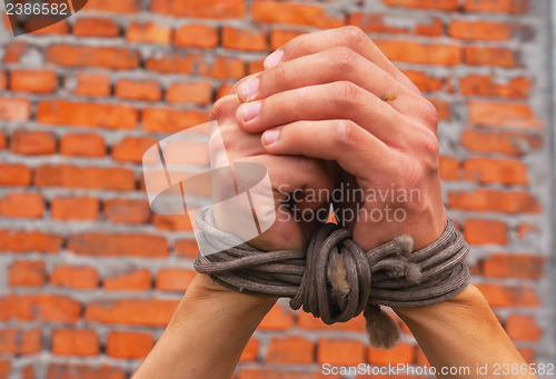 Image of Hands tied up with rope