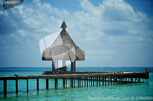 Image of Tropical Jetty