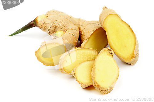 Image of Ginger