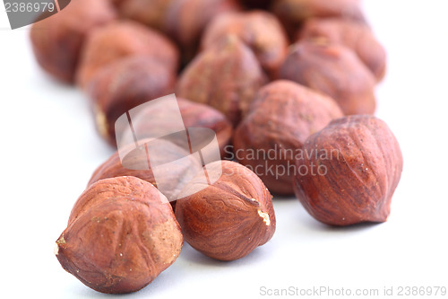 Image of hazelnut