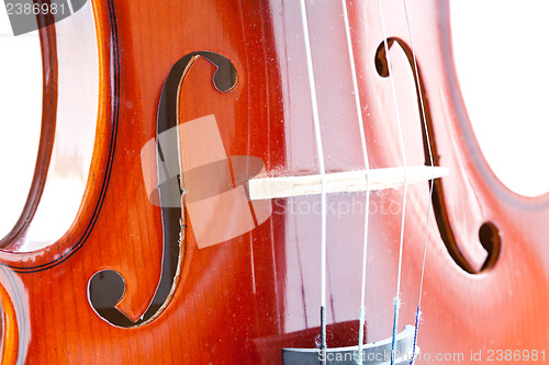 Image of Violin