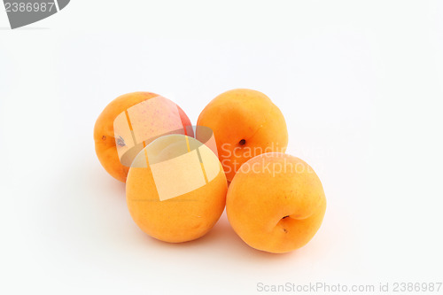 Image of apricots