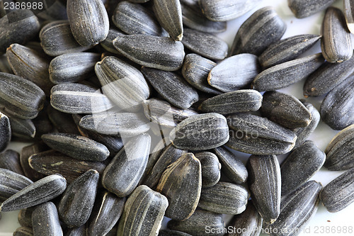 Image of sunflower seeds 