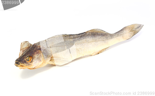 Image of perch