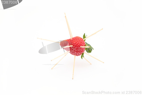 Image of strawberry bomb. Strawberries with toothpicks