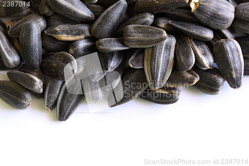 Image of sunflower seeds