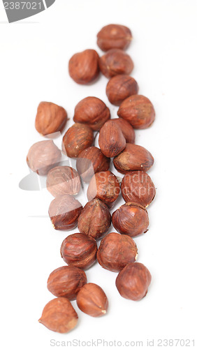 Image of hazelnut