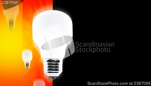 Image of White bulb