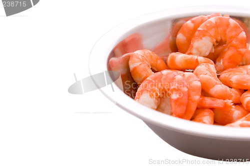 Image of Prawns