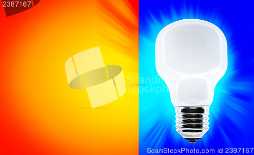 Image of White bulb