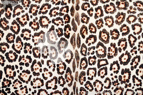 Image of closeup of leopard fur