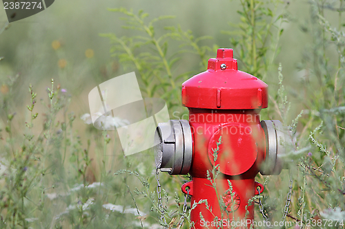 Image of red hydrant