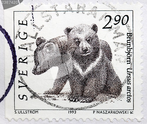Image of Bear Cubs Stamp