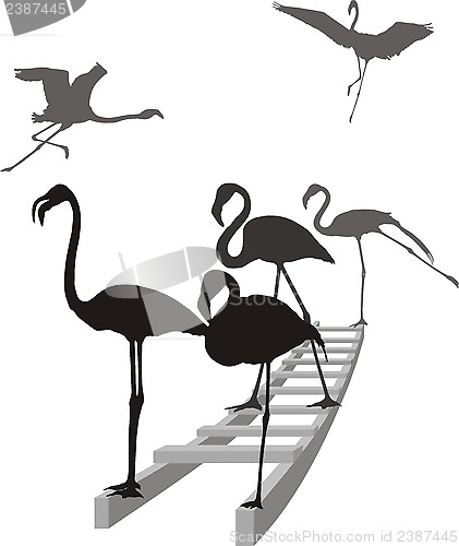 Image of Flamingos on the ladder in grayscale