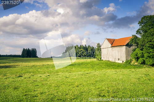 Image of meadow with a hut