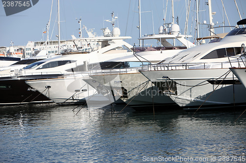 Image of Row of luxury motorised yachts